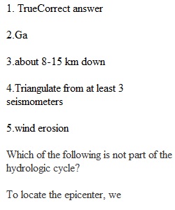 Final Exam